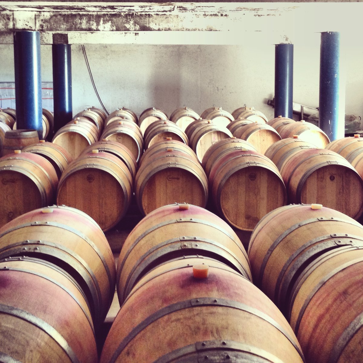 Saint Méard de Gurçon | Sainte-Foy-la-Grande | Montpon-Ménestérol | Bergerac