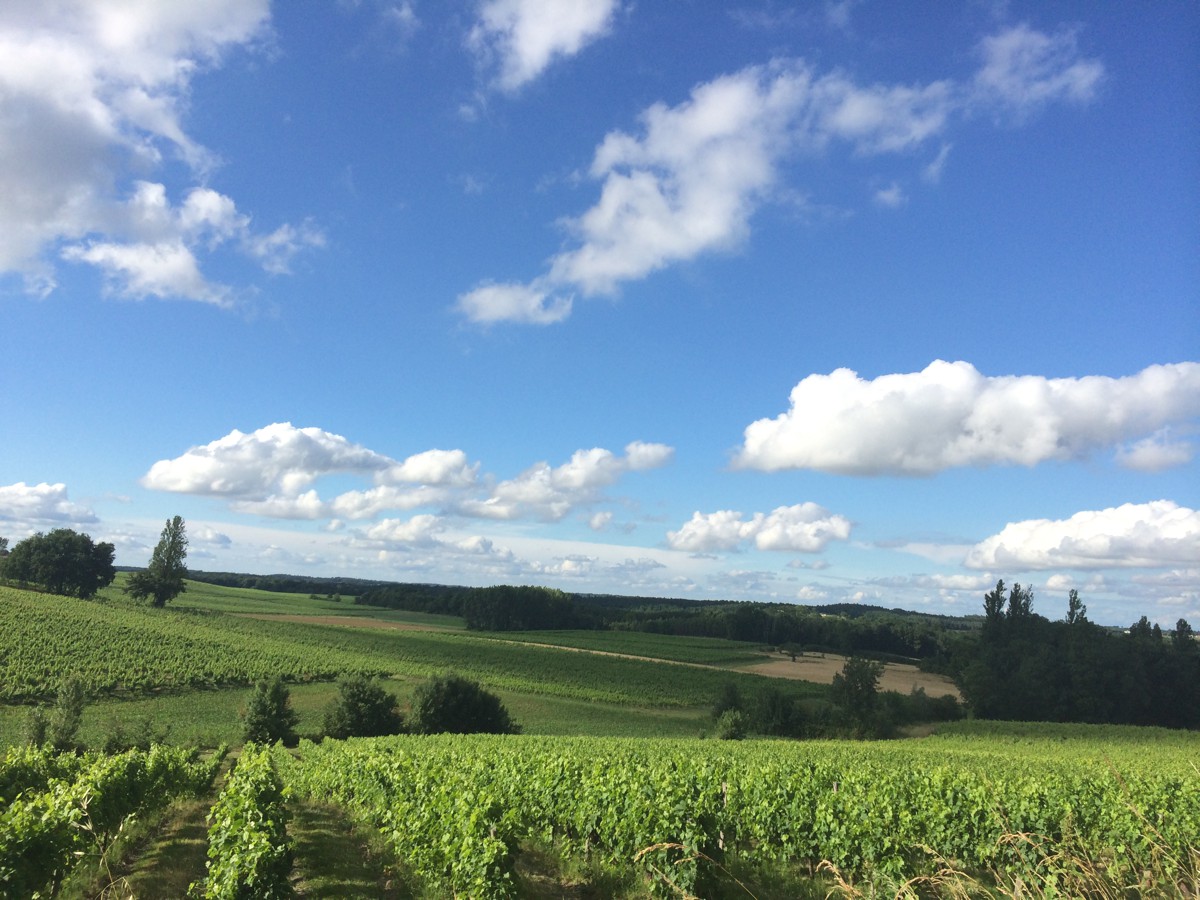 Saint Méard de Gurçon | Sainte-Foy-la-Grande | Montpon-Ménestérol | Bergerac