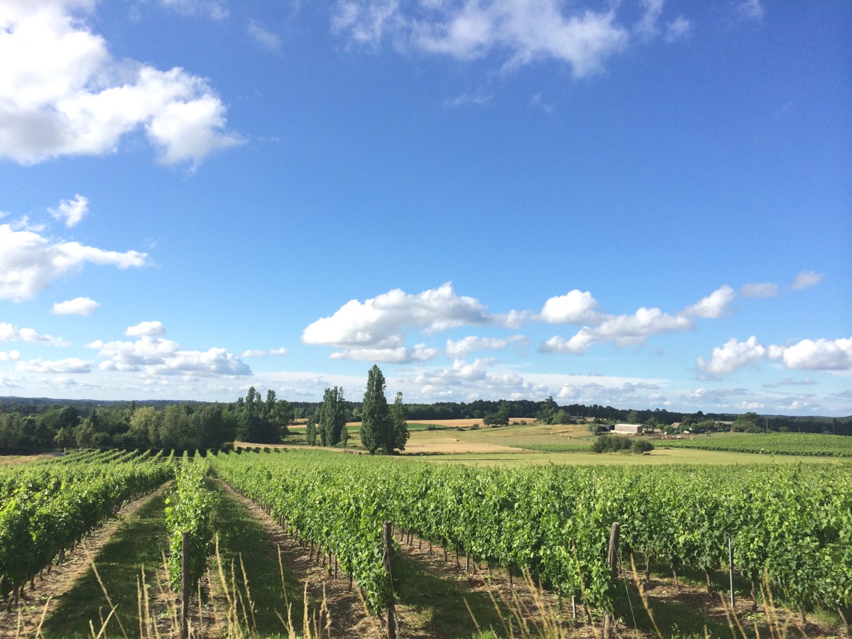 Saint Méard de Gurçon | Sainte-Foy-la-Grande | Montpon-Ménestérol | Bergerac