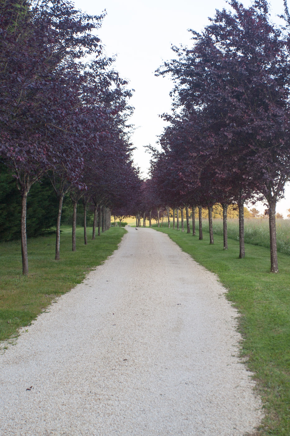 Le paysse à Saint Méard de Gurçon